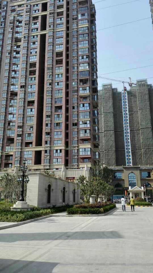 七里香提 七里香提